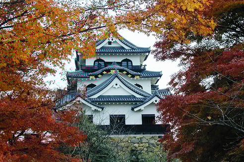 紅葉の向こうに建築の粋を凝らした現存天守が見える