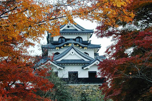 紅葉の向こうに建築の粋を凝らした現存天守が見える