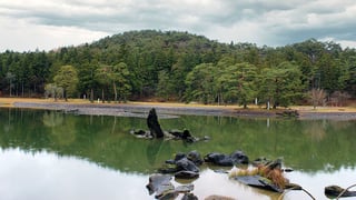 毛越寺の浄土庭園でもっとも美しい景観の一つと言われる出島石組と池中立石