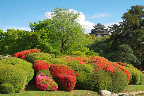 旭川の対岸にある日本三大名園の１つ、岡山後楽園から望む天守