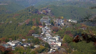 【吉野町】四季を通してそれぞれに魅力のある吉野山。現在大修理中の金峯山寺蔵王堂が見える